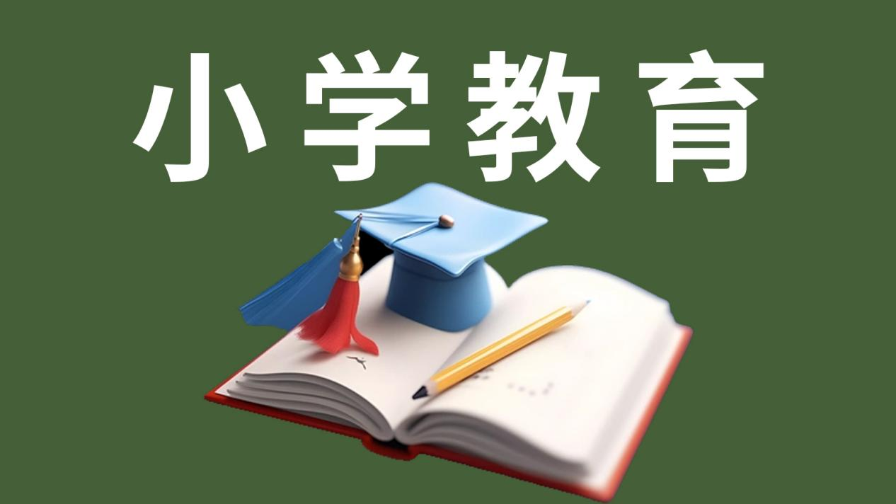 湖北专升本机构，小学教育竞争破局者，斯拓教育94.74%上岸率的背后？